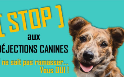 Déjections canines : STOP !