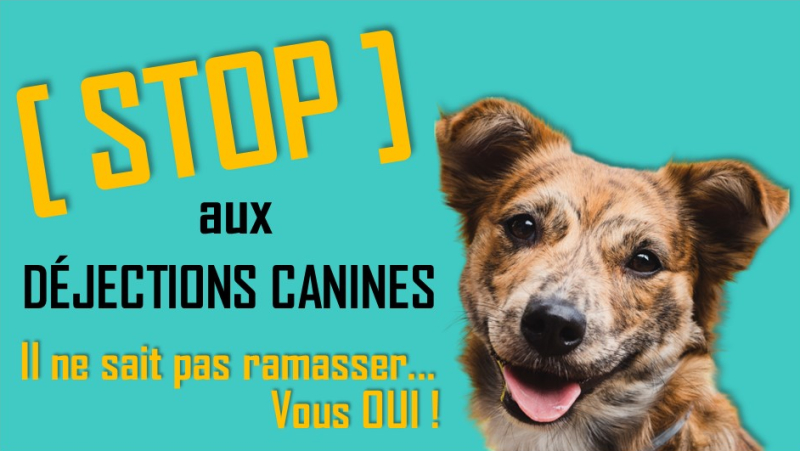 Déjections canines : STOP !