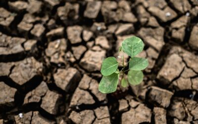 Sécheresse : restriction des usages de l’eau