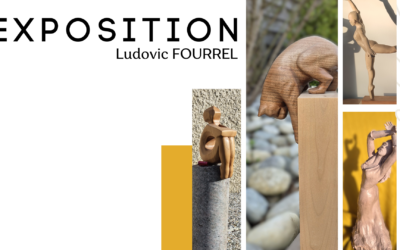 Exposition à la Médiathèque : Découvrez les sculptures de Ludovic FOURREL !