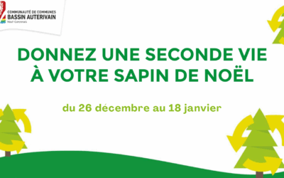Donnez une seconde vie à votre sapin de Noël !