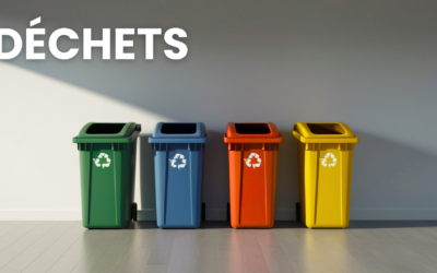Déchets : Interruption temporaire de la collecte des emballages recyclables et papiers