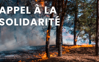 Incendies en Nouvelle Aquitaine : appel à la solidarité